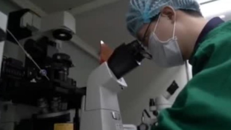 Снимка: Bulgaria ON AIR