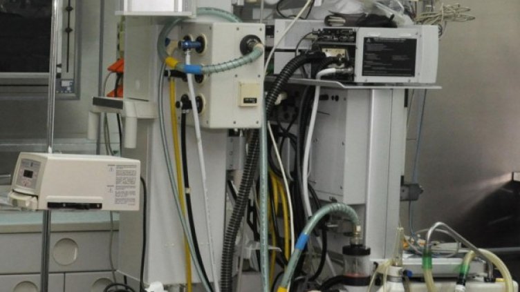 Снимка: архив, БулФото