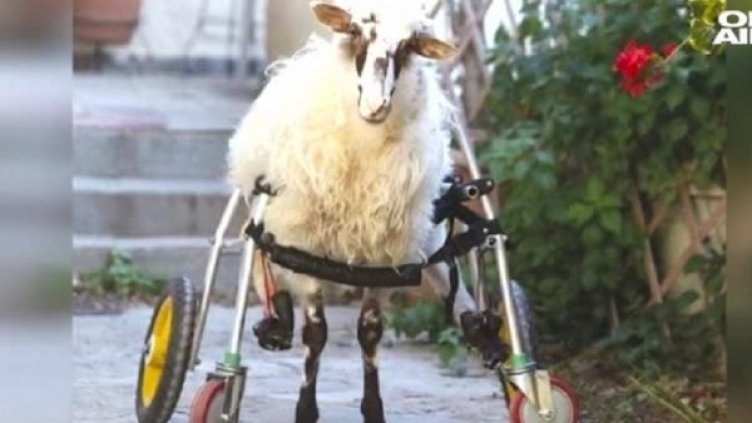 Снимка: Bulgaria On Air