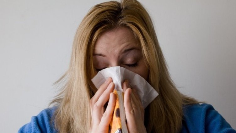 Снимка: pixabay