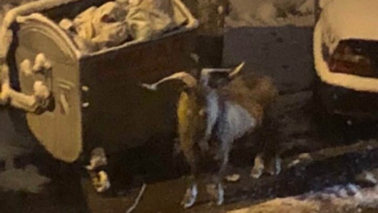 Снимка: Facebook