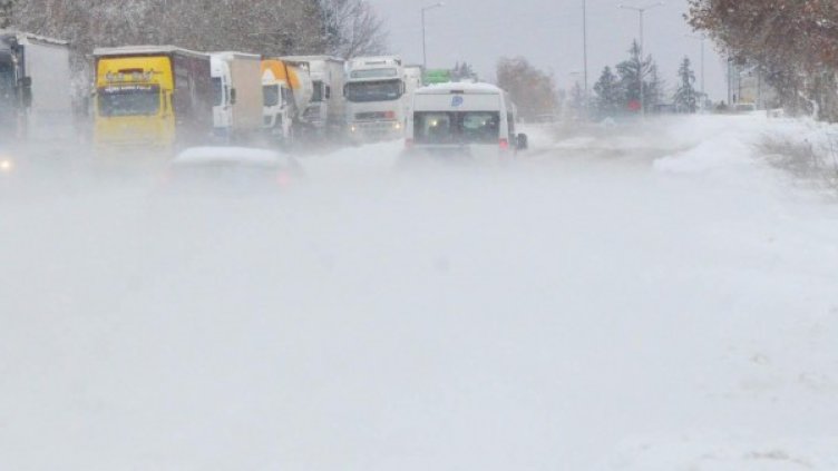 Снимка: Булфото, архив
