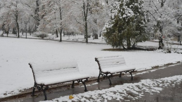 Снимка: архив "Булфото"