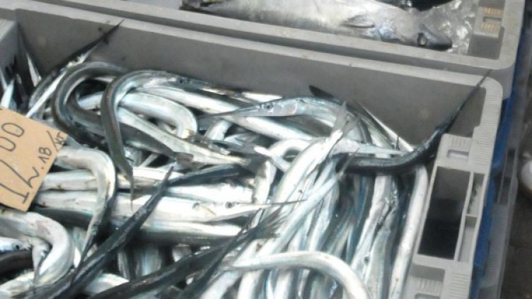 Снимка: Булфото, архив