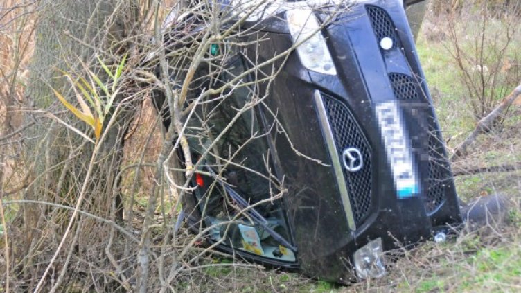 Снимка: Bulphoto, архив