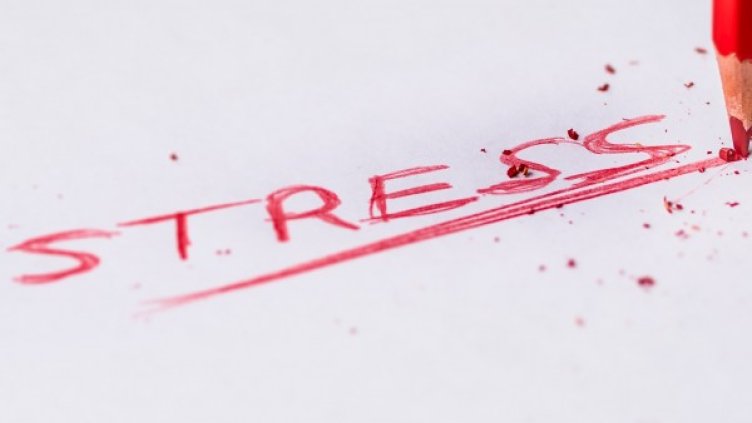 Снимка: Pexels