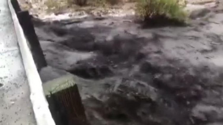 Снимка: Bulgaria ON AIR