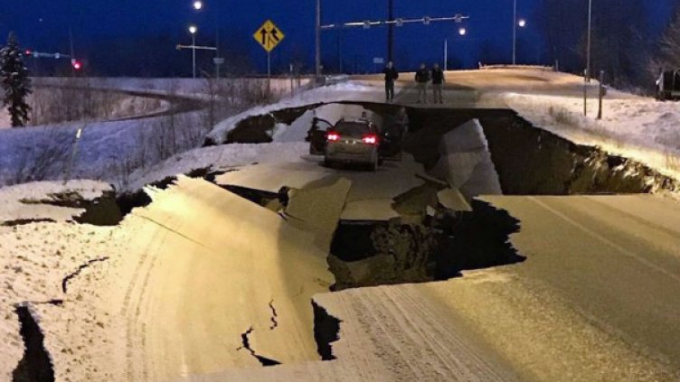 Снимка: Josh Bierma/Twitter