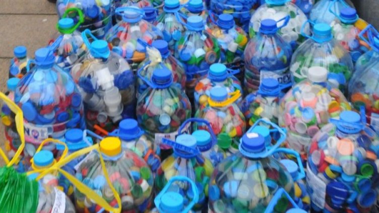 Снимка: Булфото, архив