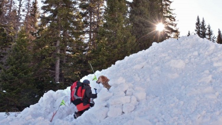 Снимка: Булфото, архив