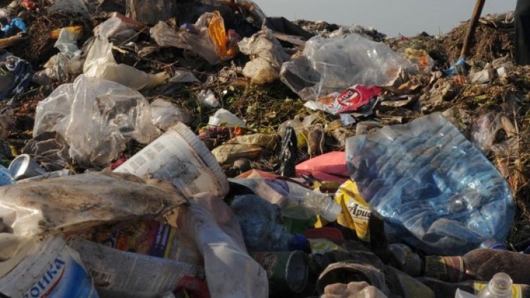 Архив: Булфото