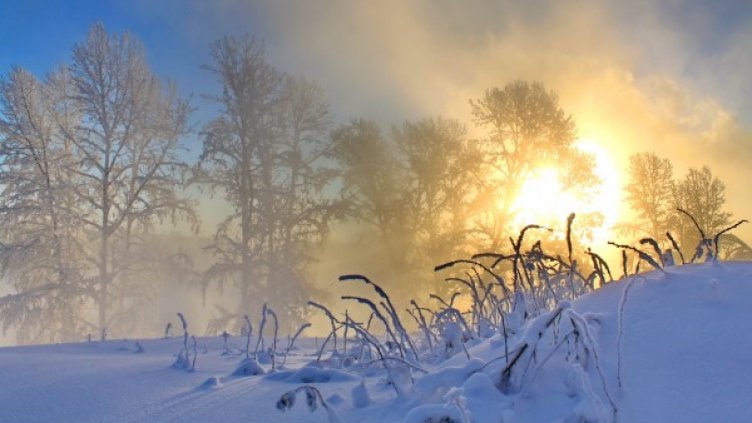 Снимка: flickr