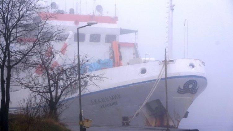 Снимка: Булфото