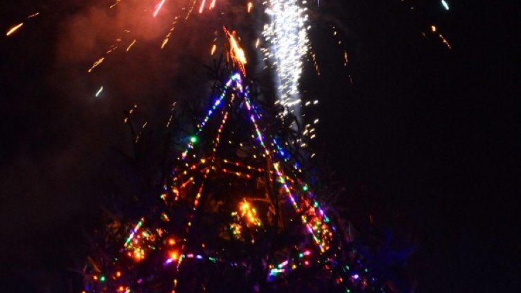 Снимка: архив, БулФото