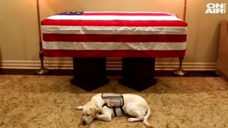 Снимка: Bulgaria ON AIR