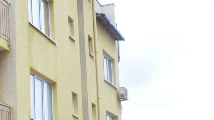 Снимка: Булфото