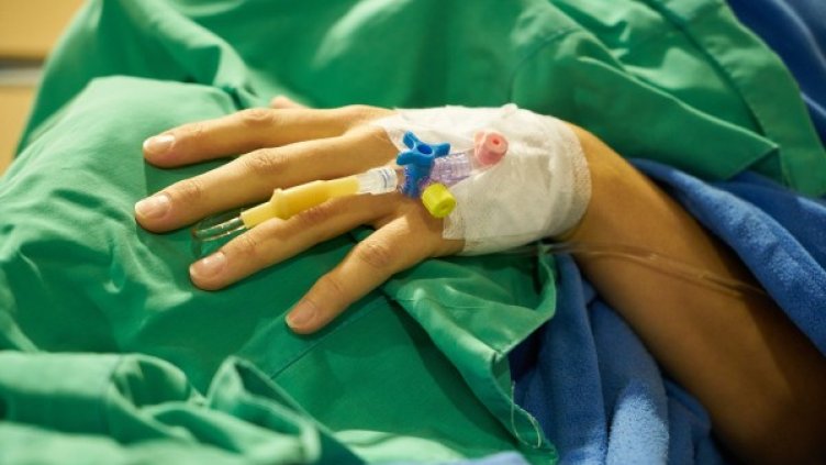 Снимка: pixabay