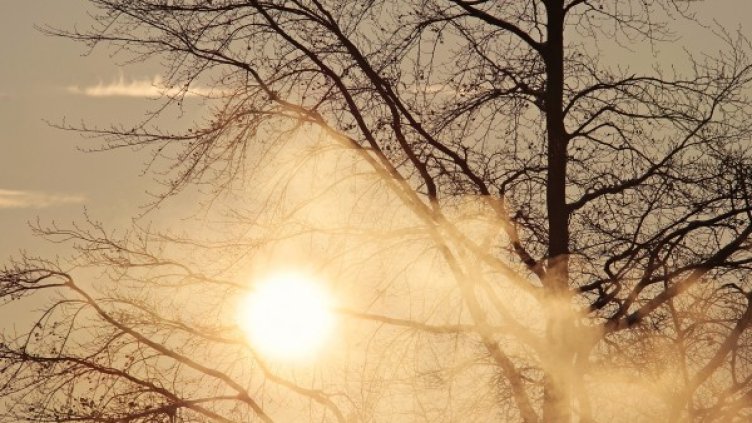 Снимка: pixabay.com