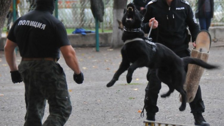 Снимка: архив "Булфото"