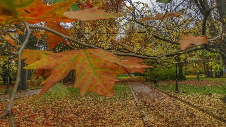 Снимка: Булфото