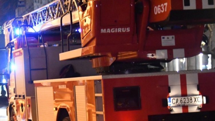 Снимка: Булфото, архив