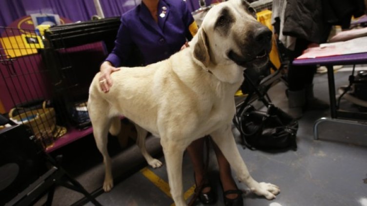 Снимка: Reuters