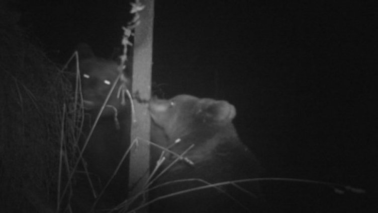 Снимка: РИОСВ