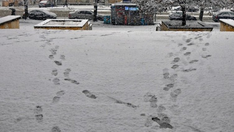 Снимка: Булфото