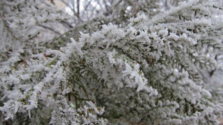 Снимка: архив, БТА