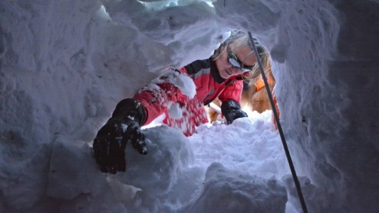 Екстремни нотки, но опасни: Нова мода &ndash; нощни преходи