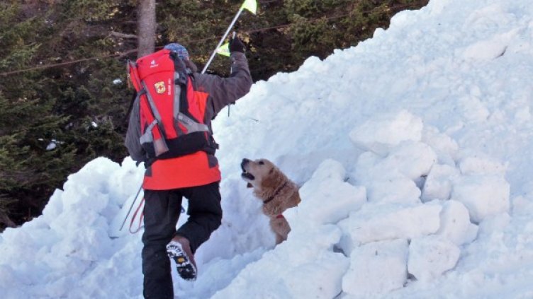 Снимка: Архив, Булфото