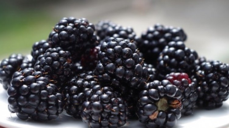 Снимка: maxpixel