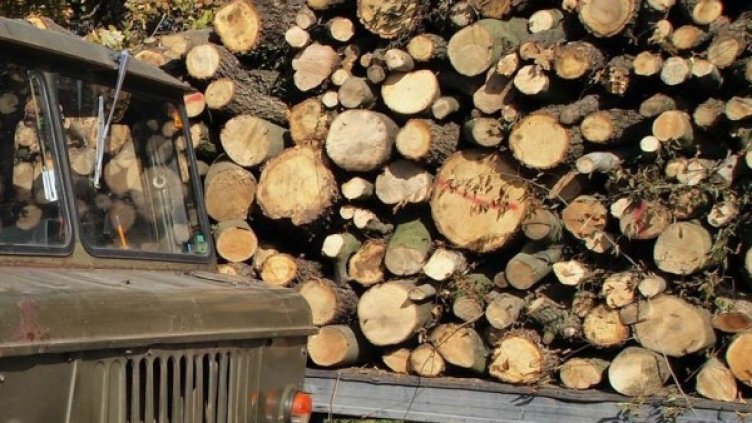 Снимка: архив, БулФото