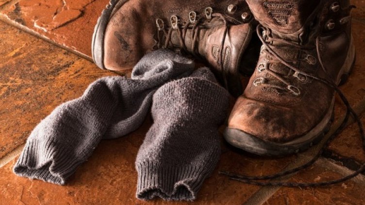 Снимка: Pixabay