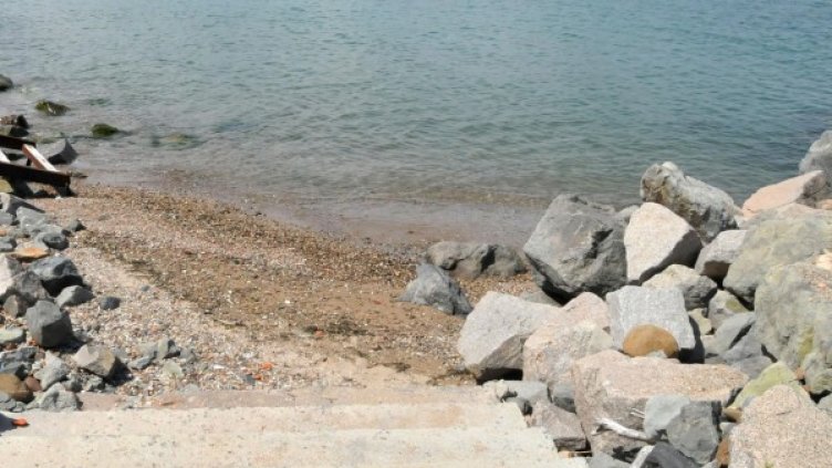 Снимка: Булфото