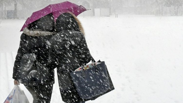 Снимка: Булфото