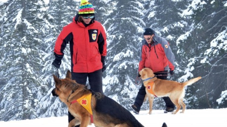 Снимка: Архив, Булфото