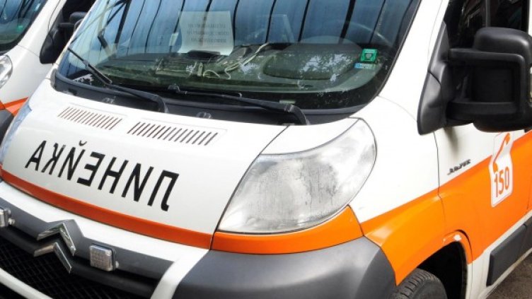 Снимка: Архив, Булфото