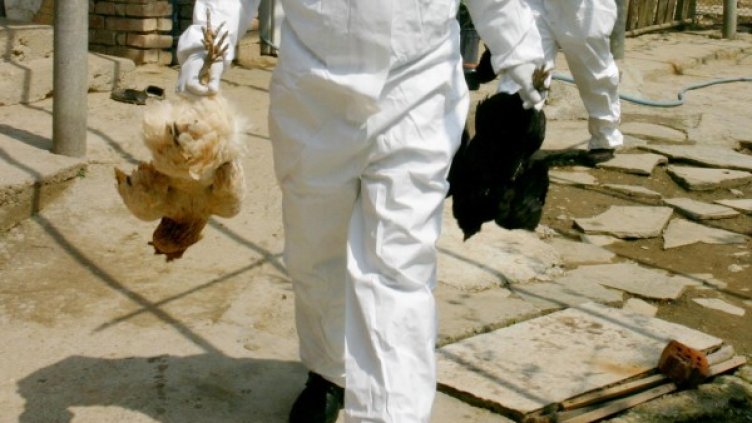 Архив: Булфото