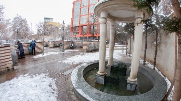 Снимка: Димитър Кьосемарлиев, Dnes.bg