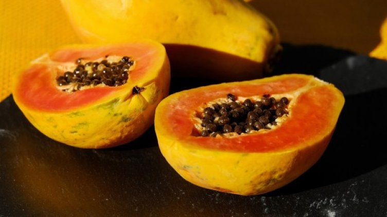 Снимка: Pixabay