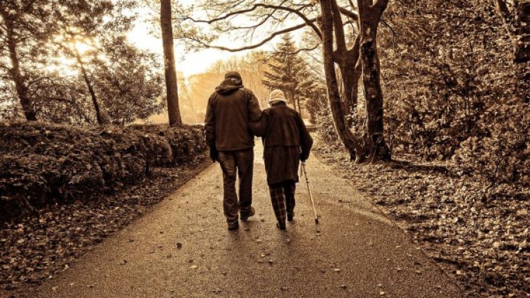 Снимка: pixabay