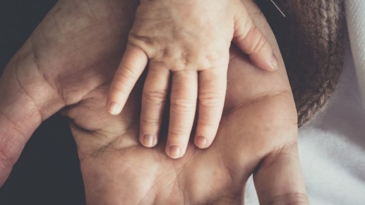 Снимка: Pixabay