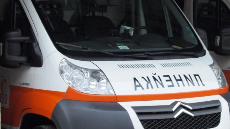 Снимка: архив, Булфото