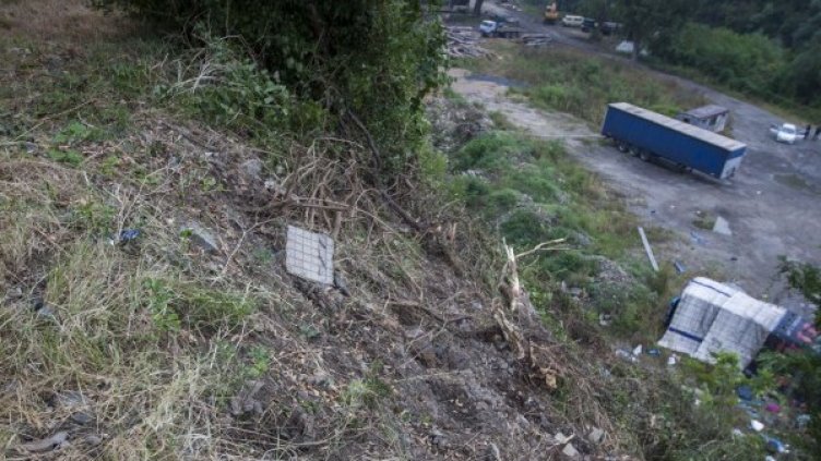 Снимка: Димитър Кьосемарлиев, Dnes.bg