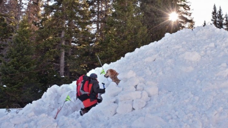 Снимка: Архив, Булфото