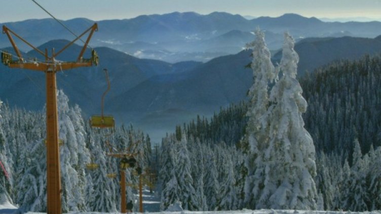 Снимка: архив "Булфото"