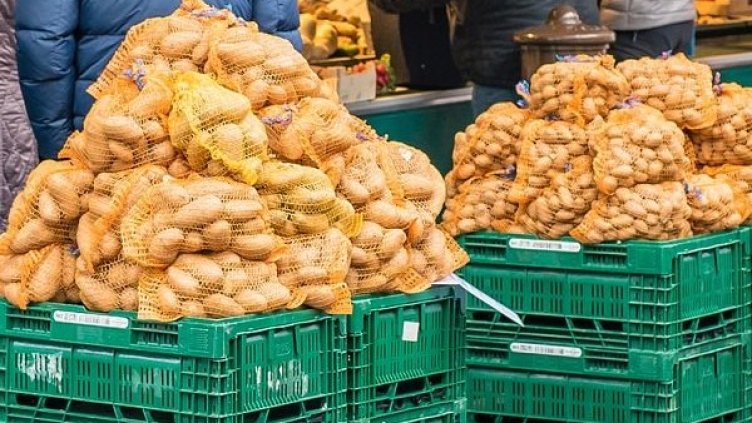 Снимка: Pixabay