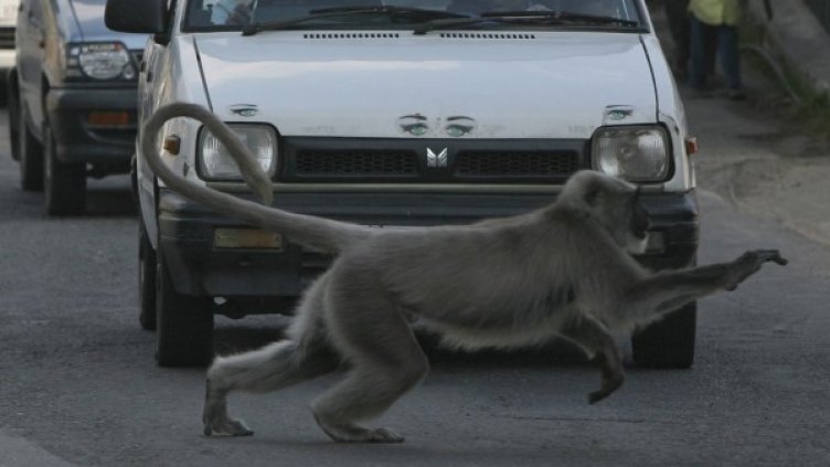 Снимка: Reuters