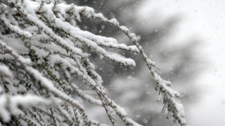 Снимка: архив, БТА